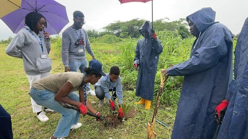 NCF Tree Planting