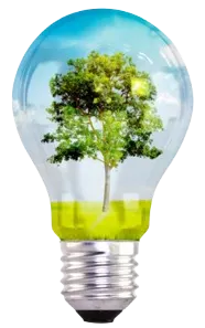 Eco-friendly light bulb